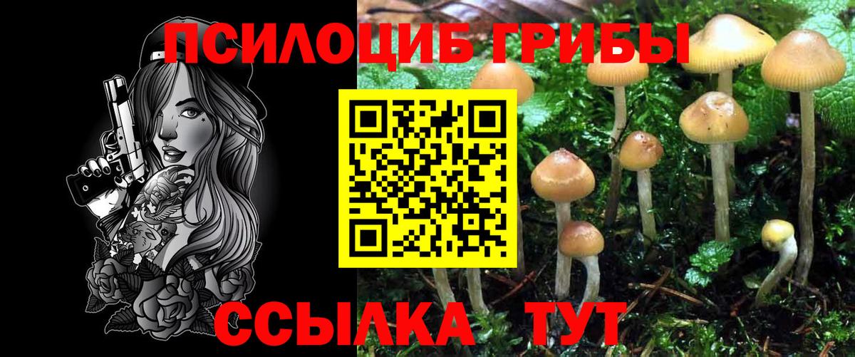 Псилоцибиновые грибы Magic Shrooms  Вход с VPN  Абакан 
