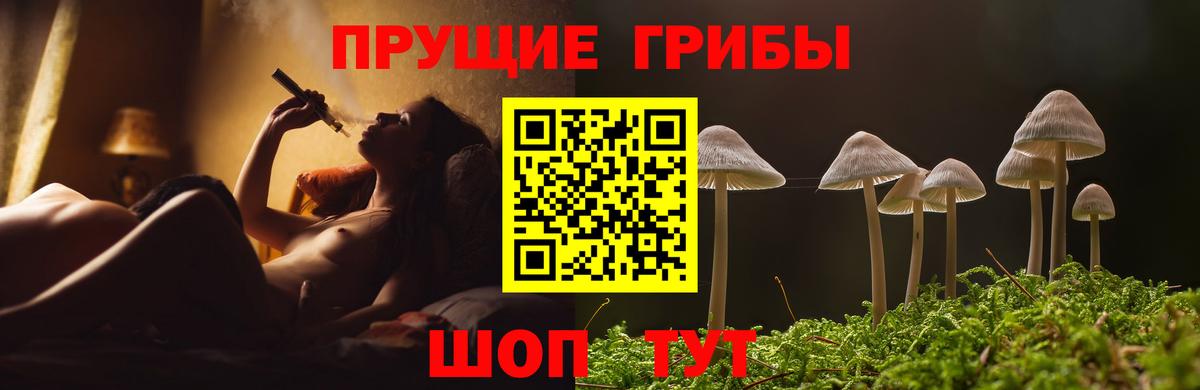 Галлюциногенные грибы Magic Shrooms Абакан